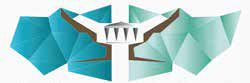 Sipho Mabunda Attorneys Inc